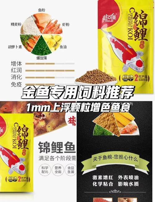 有哪些食物有助于過背金龍發(fā)色？