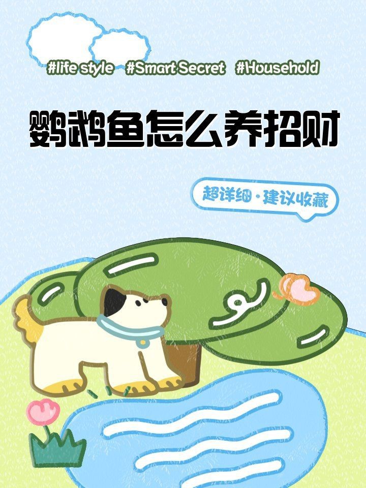 紅鸚鵡魚養(yǎng)幾條最旺財(cái)