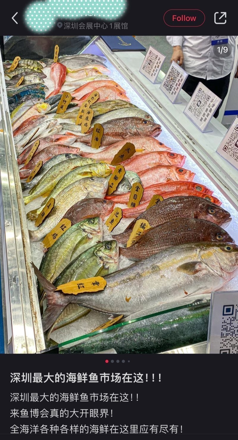 深圳國際漁業博覽會龍魚展區情況