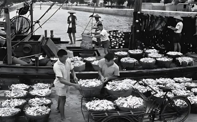 深圳國際漁業博覽會龍魚展區情況 深圳國際漁業博覽會龍魚展區情況 2025長城杯龍魚大賽 第4張