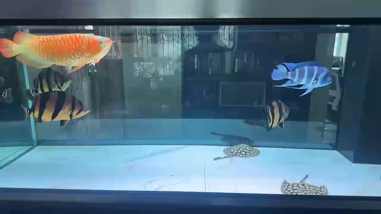 此時此刻起