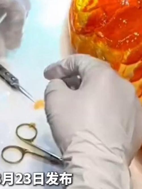 給我推薦一些20萬級別的冠軍龍魚品種