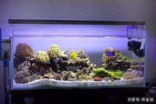 新買的魚缸需要消毒嗎：剛買的魚缸需要消毒嗎？