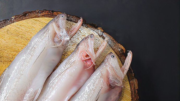龍頭魚身在現(xiàn)實中有原型嗎？