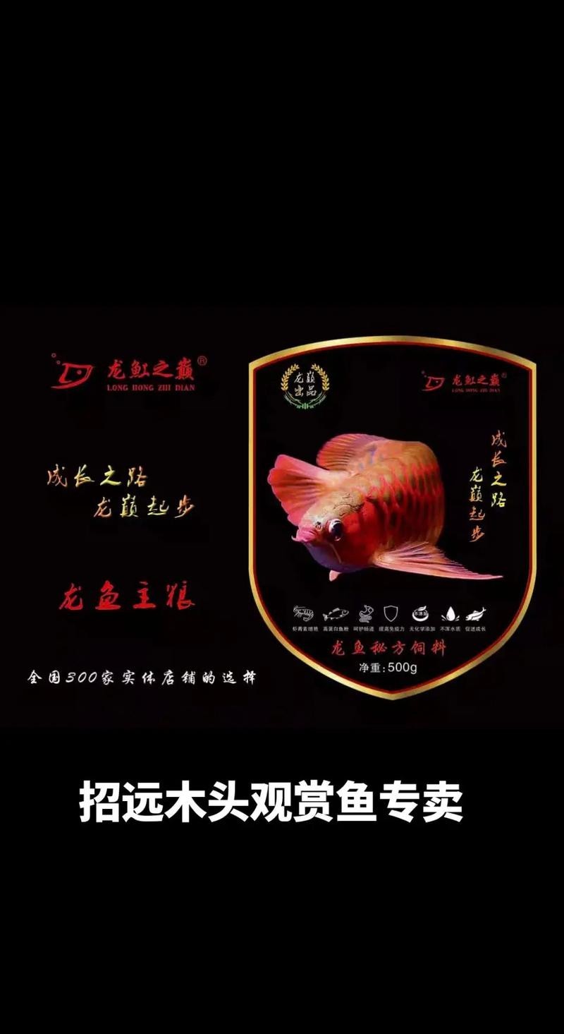 如何注冊龍魚之巔論壇賬號？ 如何注冊龍魚之巔論壇賬號？ 2025長城杯龍魚大賽 第4張