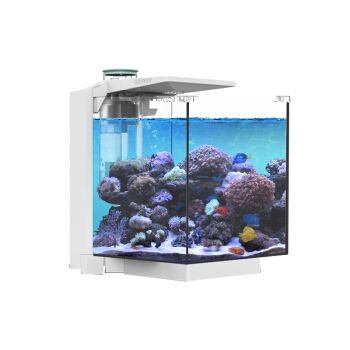 魚缸e0：海洋之星魚缸e0型號對比評測水族寶寶魚缸內部造景技巧分享