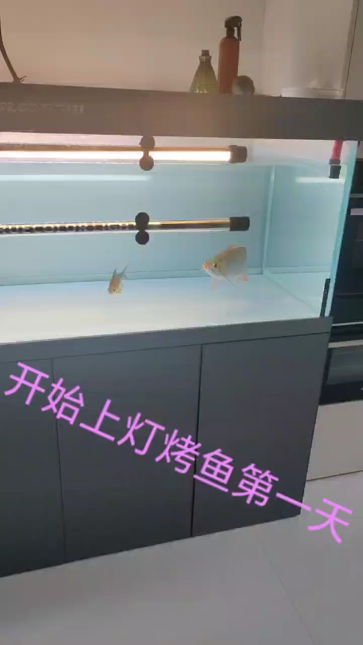打側燈開始烤魚上色