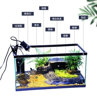 改裝魚缸頂部養(yǎng)綠植違法嗎？：改裝魚缸頂部養(yǎng)綠植是否違法