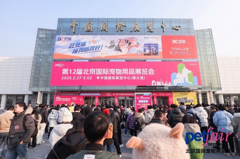 龍魚水霉病最佳治療龍魚水霉病最佳治療方法及挑選方法，如何挑選龍魚