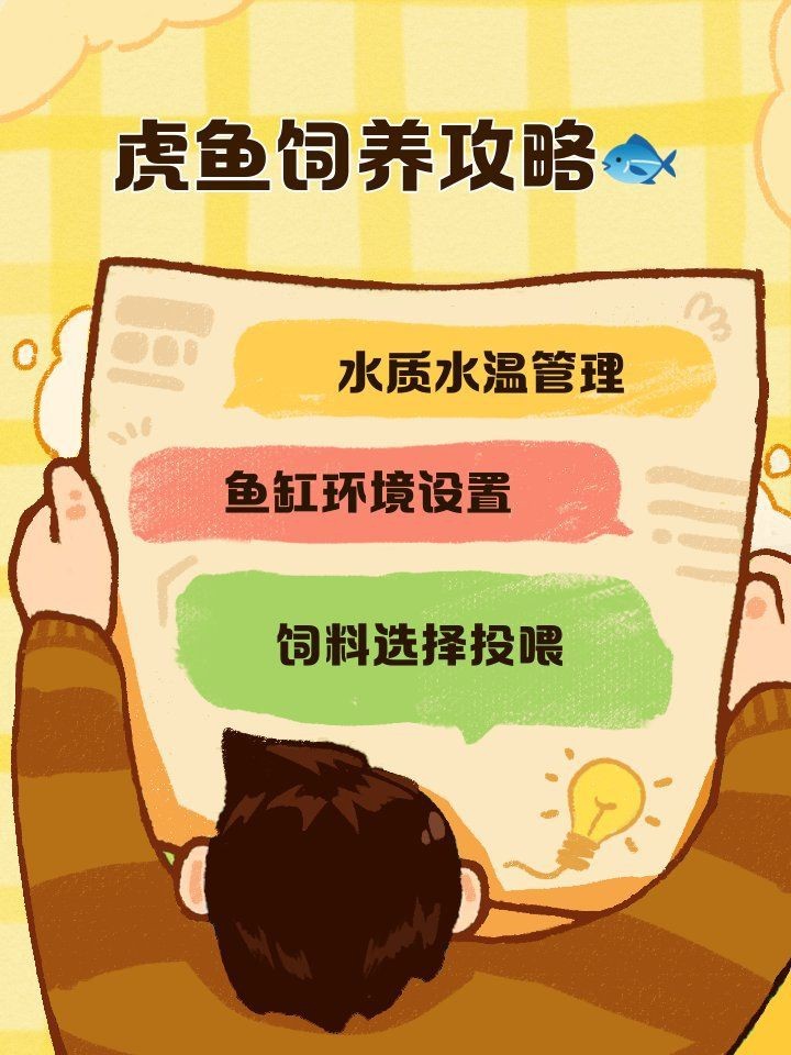 虎魚用什么背景