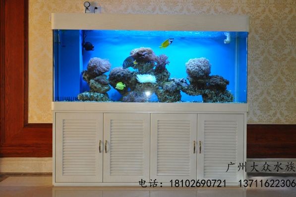 廣州定做大型魚(yú)缸的價(jià)格是多少：廣州定做大型魚(yú)缸價(jià)格