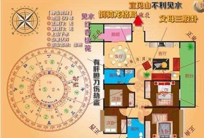 房間能放魚缸養魚嗎風水好嗎（如何在房間中放置魚缸養魚）