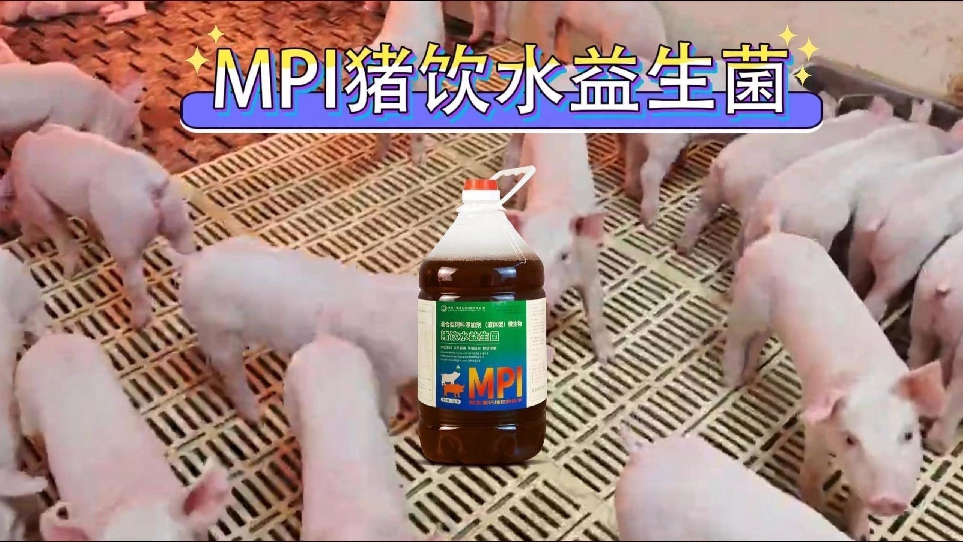 龍魚跳缸后如何快速恢復食欲？
