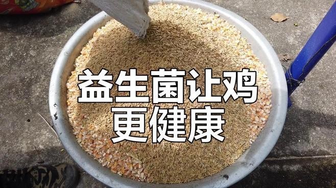 龍魚跳缸后如何快速恢復食欲？