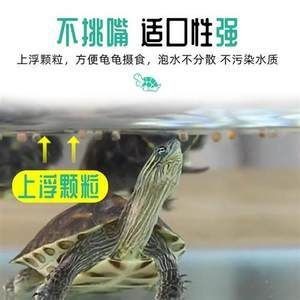 三斤左右龍魚價格（三斤左右的龍魚價格是幾種常見品種的龍魚價格范圍）