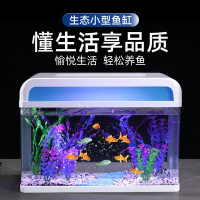 原神銀龍魚吃什么（原神銀龍魚在哪）