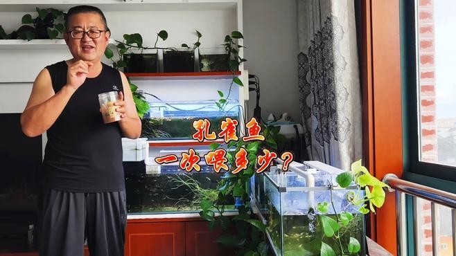 龍魚鰓蓋凸起能否自愈？，龍魚鰓蓋凸起會有什么癥狀？