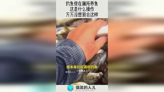 魚視頻