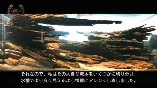 草缸造景大賽作品