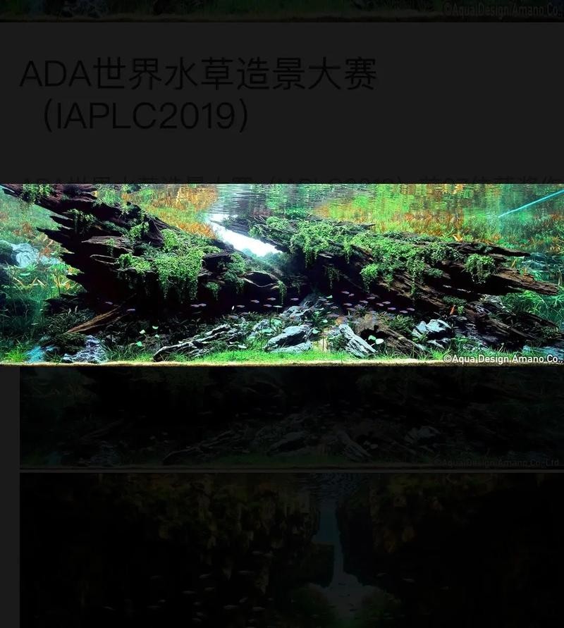 草缸造景大賽作品