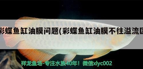 龜為什么要經(jīng)常曬背曬背有什么好處