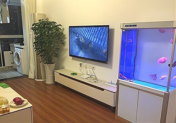 客廳怎么放魚缸最合理