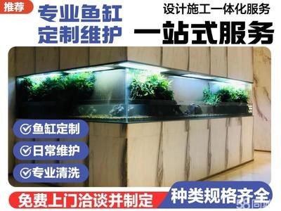 上海定制魚缸哪家最好（哪家最好）