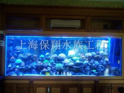 上海定制魚缸哪家最好（哪家最好）