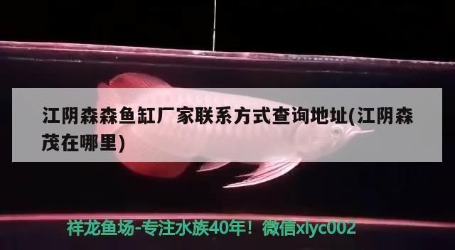 森森魚缸廠家聯(lián)系電話
