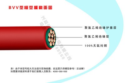 魚缸分為幾種（不同形狀魚缸的適用）