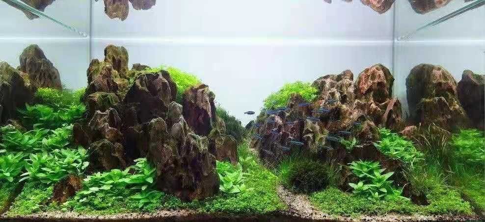 彩色魚缸造景石廠家電話：彩色魚缸造景石廠家