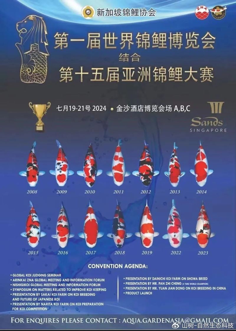 世界錦鯉大賽有哪些歷史冠軍？