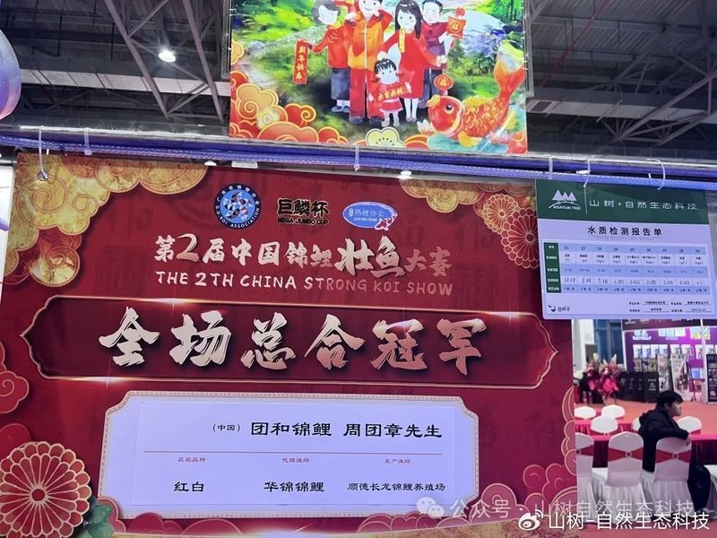 世界錦鯉大賽有哪些歷史冠軍？