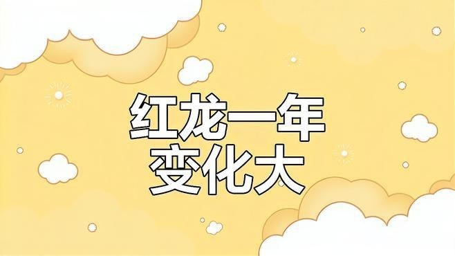 鴻京龍宮紅龍魚怎么樣