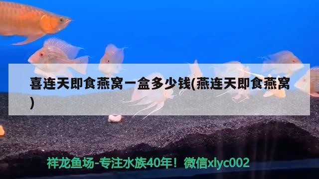 龍魚的飼養方法和注意事項，銀龍魚和金龍魚能混養嗎，