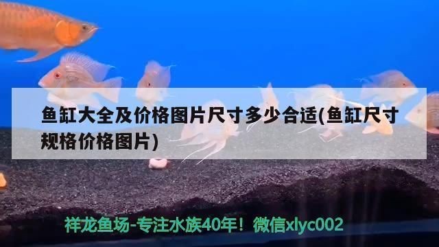 高級魚缸價格多少：智能魚缸品牌對比評測,高端魚缸材質選擇技巧