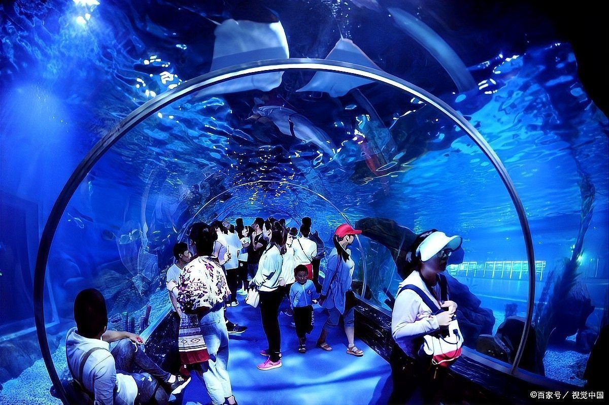 有哪些水族展是免費的？