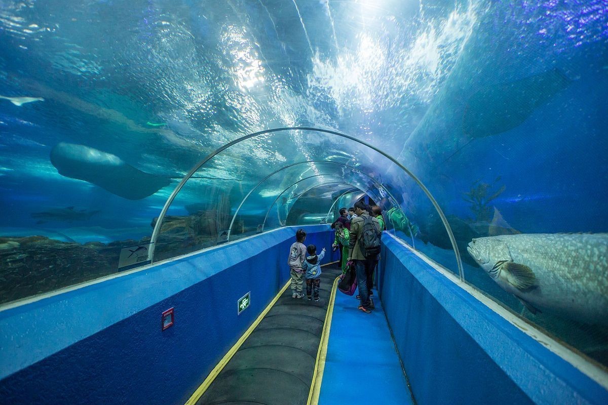有哪些水族展是免費的？