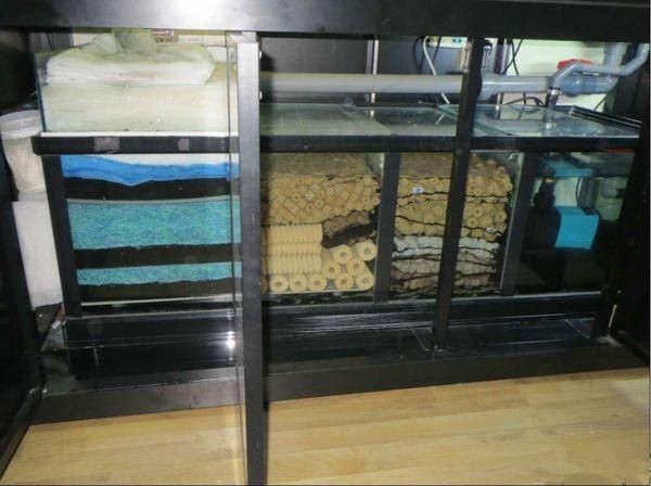 魚缸過濾系統維護周期：夏季魚缸過濾系統的維護周期，魚缸過濾系統的維護周期 魚缸過濾系統維護周期：夏季魚缸過濾系統的維護周期，魚缸過濾系統的維護周期 魚缸百科 第6張