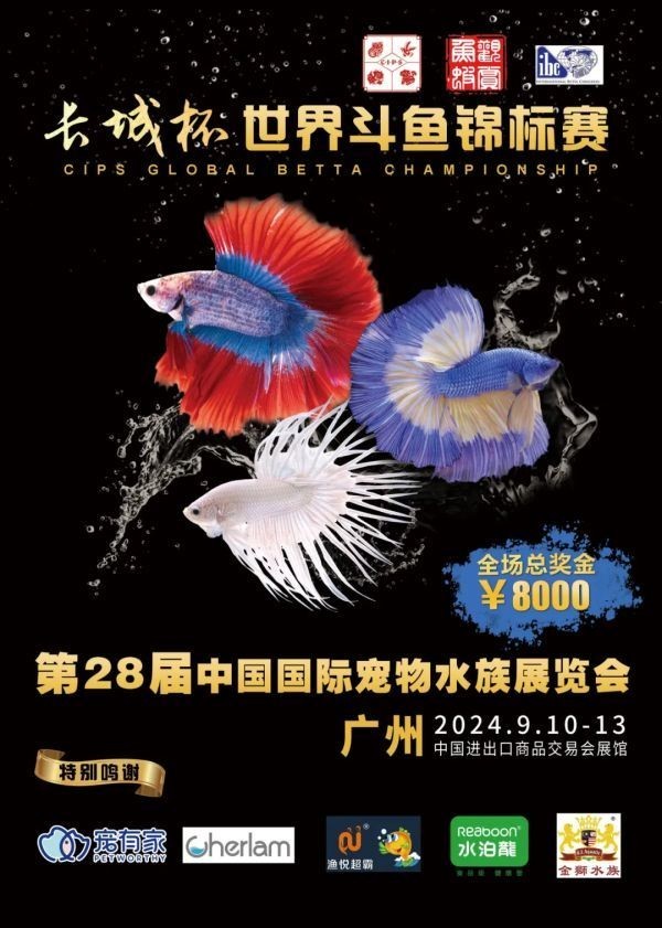長城杯中國斗魚比賽的獎金如何分配？