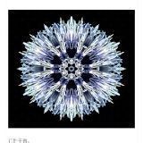 魟魚一周不喂會餓死嗎
