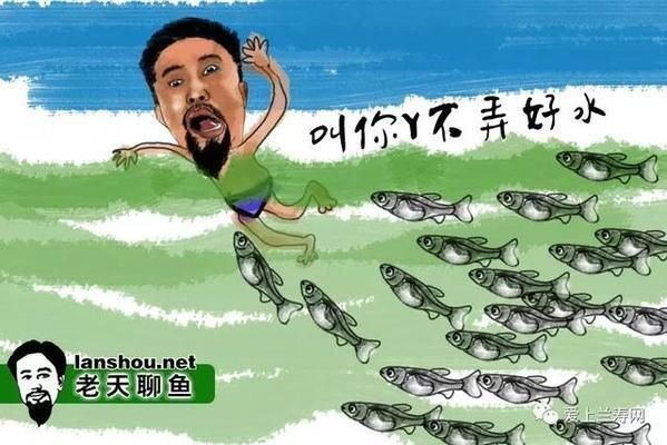 如何改善大白鯊魚苗的水質，大白鯊魚苗的水質對其健康和成長至關重要