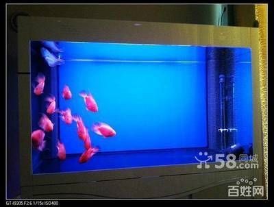 可麗愛魚缸型號與價格(1米長)（可麗愛魚缸型號與價格）