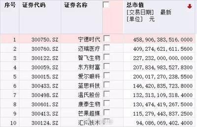 異型魚魚缸造景效果圖：異型魚魚缸造景效果圖詳情