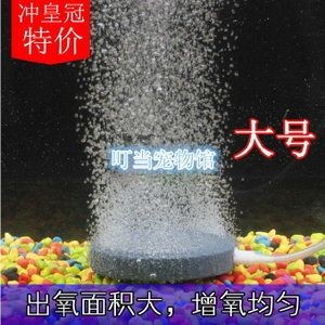 皇冠魚缸的養護技巧：如何打造皇冠魚缸