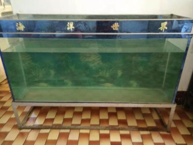 魚缸使用年限（魚缸使用壽命受多種因素影響） 魚缸使用年限（魚缸使用壽命受多種因素影響） 魚缸百科 第1張
