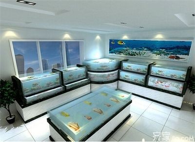店鋪魚缸的風水設計：店鋪魚缸擺放位置對于店鋪的風水和財運有著重要的影響