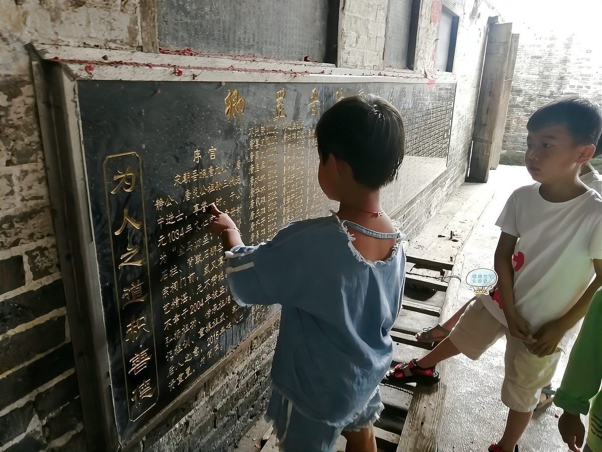 清遠唐氏在比賽中表現如何？ 清遠唐氏在比賽中表現如何？ 2025長城杯龍魚大賽 第6張