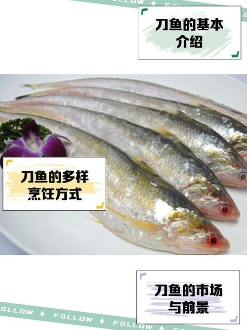 淡水刀魚圖片大全真實