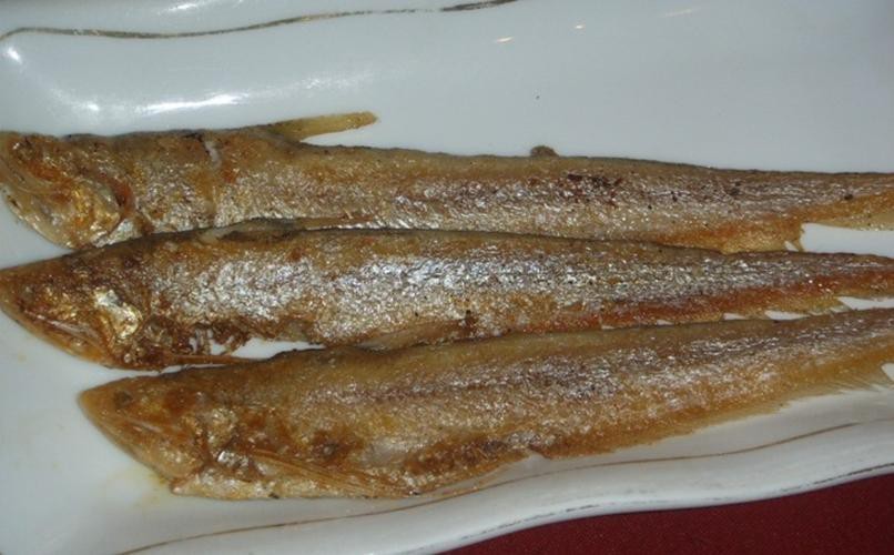 淡水刀魚圖片大全真實